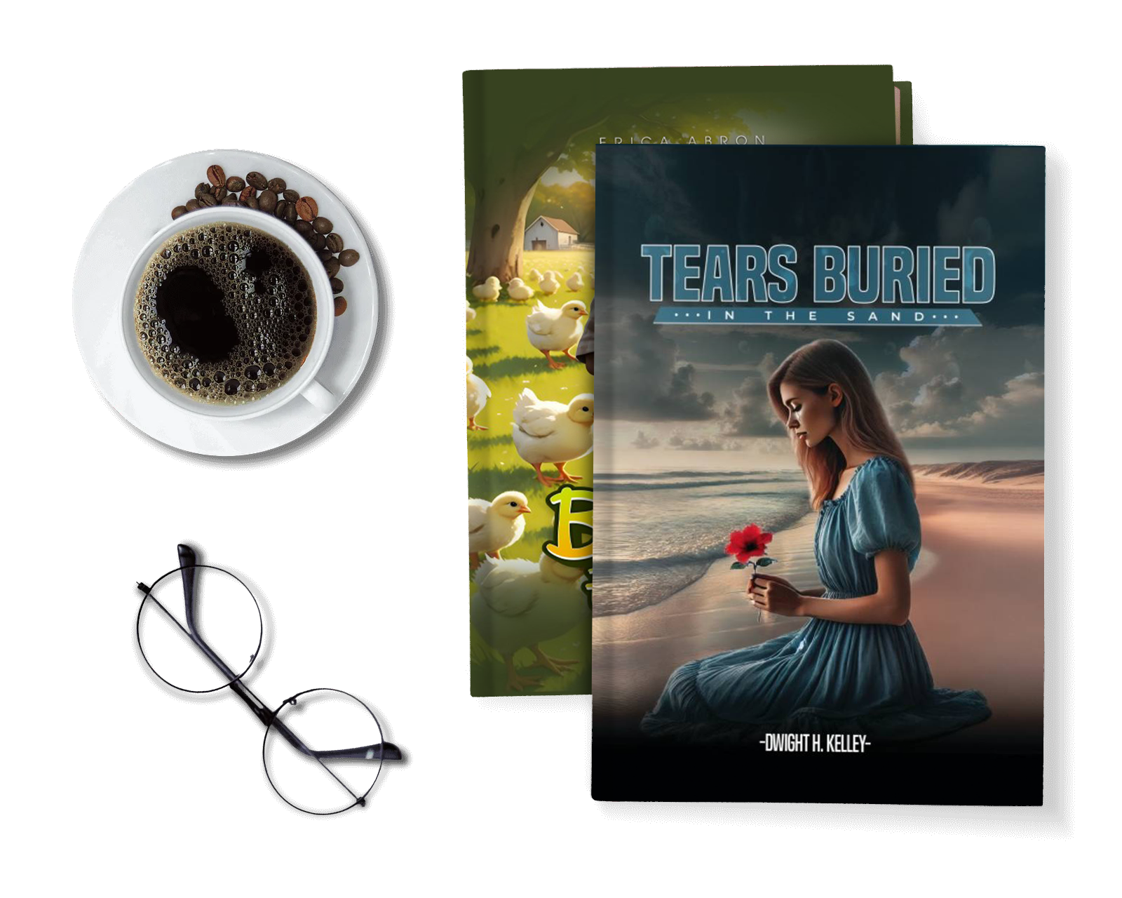 Book promotion service